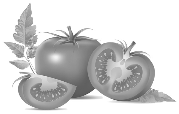 Иллюстрация к книге — Теплицы без ошибок. С чего начать и как эффективно использовать [i_118.jpg]