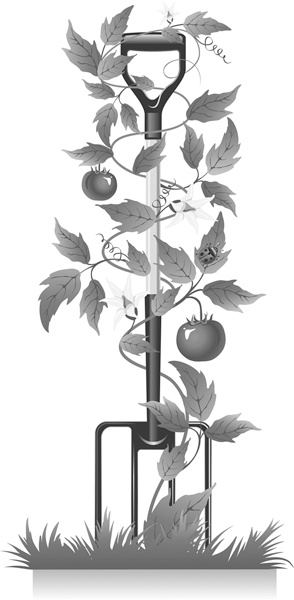 Иллюстрация к книге — Теплицы без ошибок. С чего начать и как эффективно использовать [i_134.jpg]