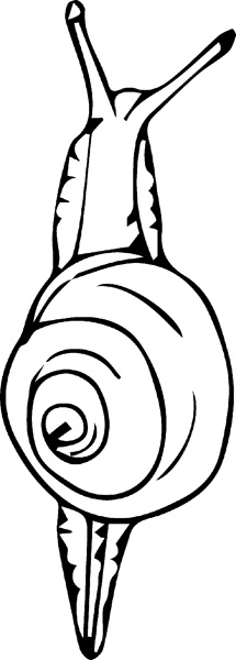 Иллюстрация к книге — Теплицы без ошибок. С чего начать и как эффективно использовать [i_135.jpg]