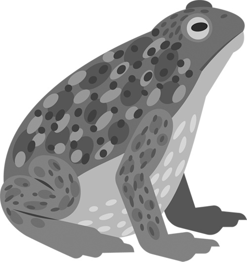 Иллюстрация к книге — Теплицы без ошибок. С чего начать и как эффективно использовать [i_137.jpg]