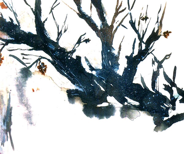 Иллюстрация к книге — Бусина карманного карлика [i_006.jpg]