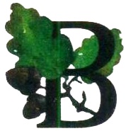 Иллюстрация к книге — Бусина карманного карлика [i_064.jpg]