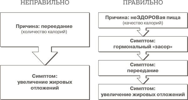 Иллюстрация к книге — Дело не в калориях. Как не зависеть от диет, не изнурять себя фитнесом, быть в отличной форме и жить лучше [i_031.jpg]