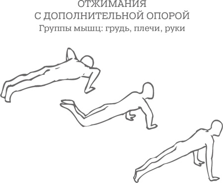 Иллюстрация к книге — Дело не в калориях. Как не зависеть от диет, не изнурять себя фитнесом, быть в отличной форме и жить лучше [i_120.jpg]