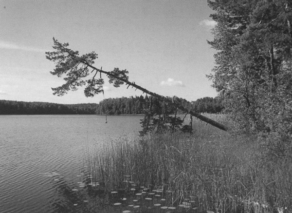 Иллюстрация к книге — Михаил Бахтин [i_014.jpg]