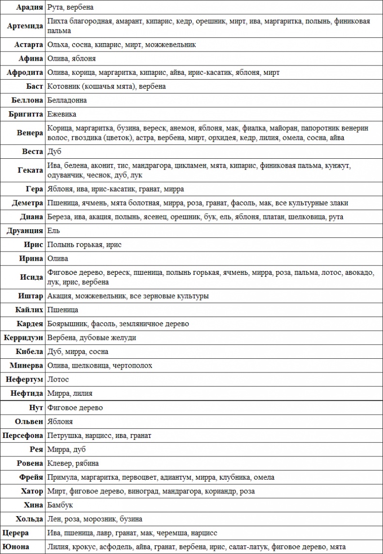 Иллюстрация к книге — Викканская магия. Настольная книга современной ведьмы [i_019.jpg]