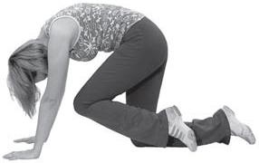 Иллюстрация к книге — 10 шагов к идеальному прессу [i_012.jpg]