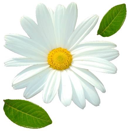 Иллюстрация к книге — 100 правил отличного здоровья [_12.jpg]