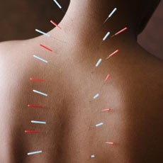 Иллюстрация к книге — 100 правил отличного здоровья [_2.jpg]