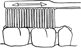 Иллюстрация к книге — 36 и 6 правил здоровых зубов [_09.jpg]
