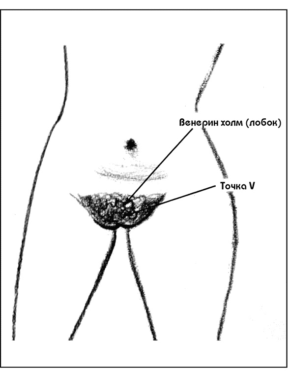 Иллюстрация к книге — Оргазм. Руководство для женщин. Секреты нереального удовольствия [section0030.jpg]