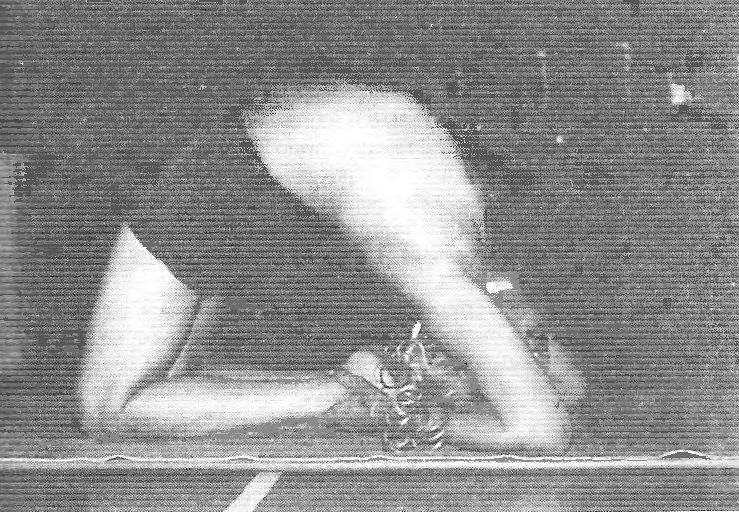 Иллюстрация к книге — Новая йога для тех, кому за 50: обратите вспять процессы старения. Руководство по йоге для людей среднего и старшего возраста [image1.jpg]