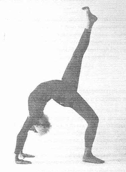 Иллюстрация к книге — Новая йога для тех, кому за 50: обратите вспять процессы старения. Руководство по йоге для людей среднего и старшего возраста [image10.jpg]