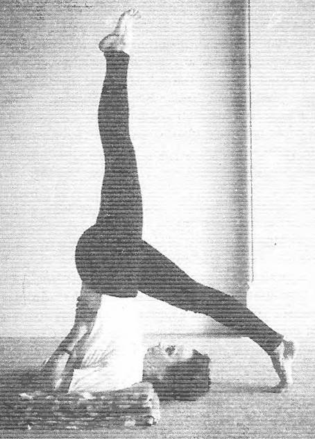 Иллюстрация к книге — Новая йога для тех, кому за 50: обратите вспять процессы старения. Руководство по йоге для людей среднего и старшего возраста [image15.jpg]