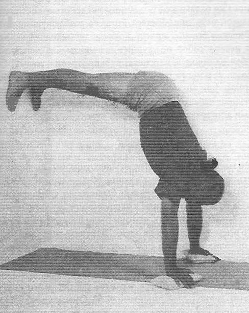 Иллюстрация к книге — Новая йога для тех, кому за 50: обратите вспять процессы старения. Руководство по йоге для людей среднего и старшего возраста [image3.jpg]