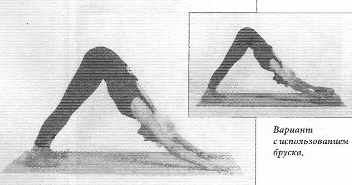 Иллюстрация к книге — Новая йога для тех, кому за 50: обратите вспять процессы старения. Руководство по йоге для людей среднего и старшего возраста [image40.jpg]