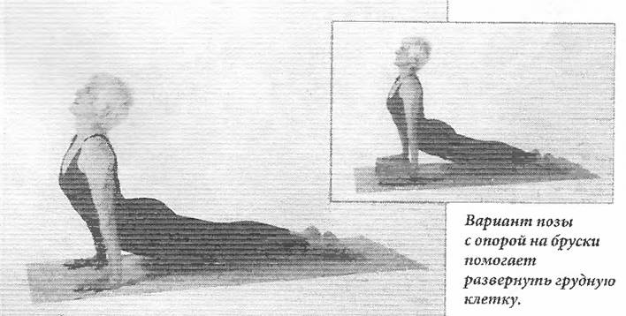 Иллюстрация к книге — Новая йога для тех, кому за 50: обратите вспять процессы старения. Руководство по йоге для людей среднего и старшего возраста [image42.jpg]