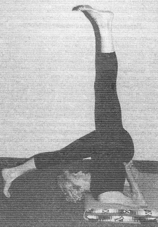 Иллюстрация к книге — Новая йога для тех, кому за 50: обратите вспять процессы старения. Руководство по йоге для людей среднего и старшего возраста [image64.jpg]