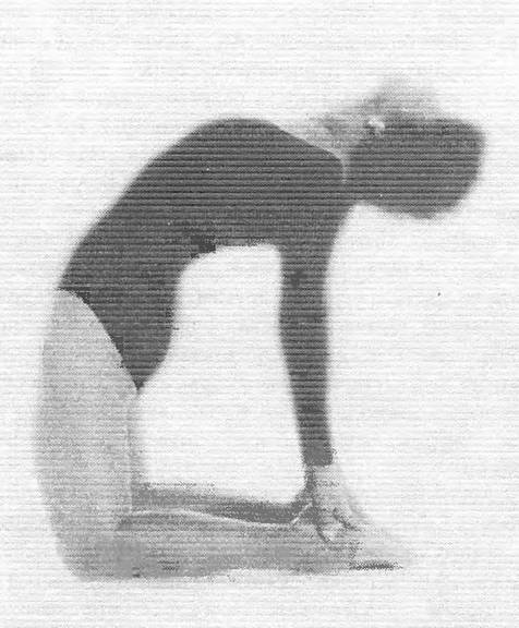 Иллюстрация к книге — Новая йога для тех, кому за 50: обратите вспять процессы старения. Руководство по йоге для людей среднего и старшего возраста [image89.jpg]