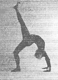 Иллюстрация к книге — Новая йога для тех, кому за 50: обратите вспять процессы старения. Руководство по йоге для людей среднего и старшего возраста [image90.jpg]