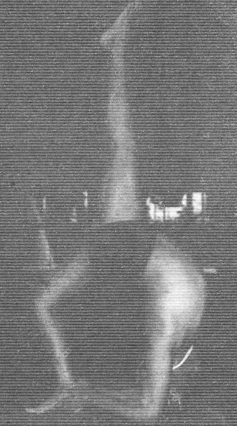 Иллюстрация к книге — Новая йога для тех, кому за 50: обратите вспять процессы старения. Руководство по йоге для людей среднего и старшего возраста [image95.jpg]