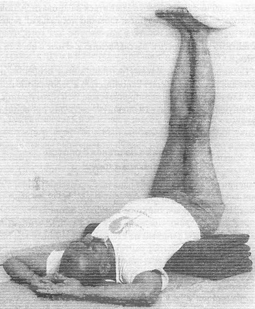 Иллюстрация к книге — Новая йога для тех, кому за 50: обратите вспять процессы старения. Руководство по йоге для людей среднего и старшего возраста [image98.jpg]