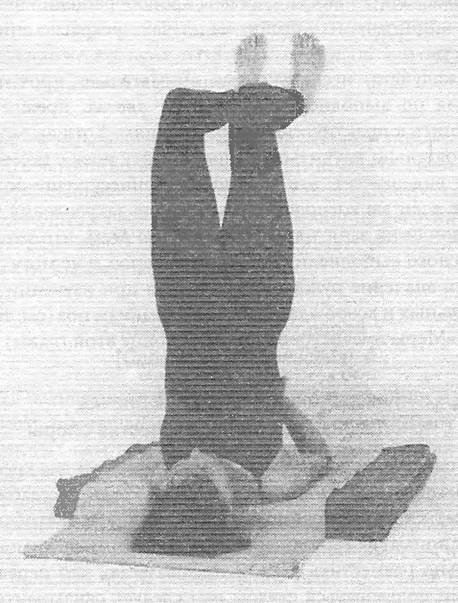 Иллюстрация к книге — Новая йога для тех, кому за 50: обратите вспять процессы старения. Руководство по йоге для людей среднего и старшего возраста [image99.jpg]