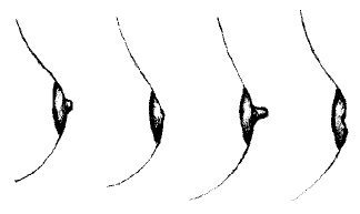 Иллюстрация к книге — Кормление ребенка грудью [autogen_ebook_id14.jpg]