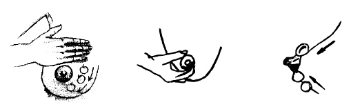 Иллюстрация к книге — Кормление ребенка грудью [autogen_ebook_id6.jpg]