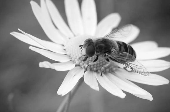 Иллюстрация к книге — Боль в коленях. Найти и устранить причину [i_014.jpg]