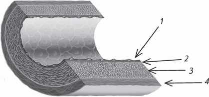 Иллюстрация к книге — Стенокардия [i_003.jpg]