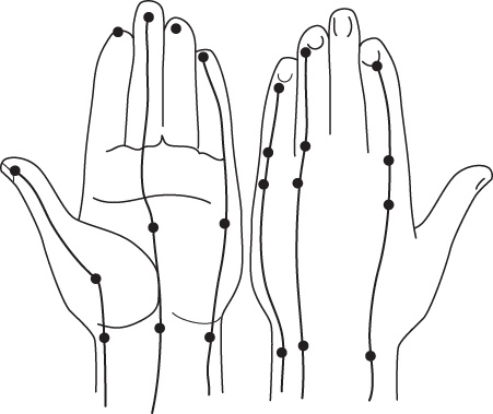 Иллюстрация к книге — Энергетические растяжки. Осознанные движения для гибкости, красоты и долголетия [ris18.jpg]