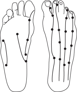 Иллюстрация к книге — Энергетические растяжки. Осознанные движения для гибкости, красоты и долголетия [ris19.jpg]