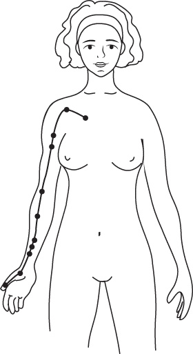 Иллюстрация к книге — Энергетические растяжки. Осознанные движения для гибкости, красоты и долголетия [ris20.jpg]