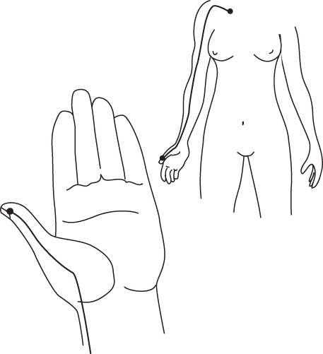 Иллюстрация к книге — Энергетические растяжки. Осознанные движения для гибкости, красоты и долголетия [ris22.jpg]