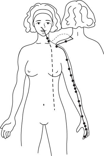 Иллюстрация к книге — Энергетические растяжки. Осознанные движения для гибкости, красоты и долголетия [ris23.jpg]