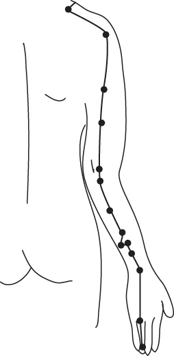 Иллюстрация к книге — Энергетические растяжки. Осознанные движения для гибкости, красоты и долголетия [ris27.jpg]