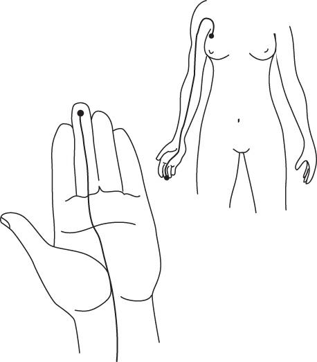 Иллюстрация к книге — Энергетические растяжки. Осознанные движения для гибкости, красоты и долголетия [ris31.jpg]