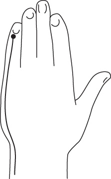 Иллюстрация к книге — Энергетические растяжки. Осознанные движения для гибкости, красоты и долголетия [ris33.jpg]