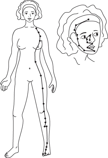 Иллюстрация к книге — Энергетические растяжки. Осознанные движения для гибкости, красоты и долголетия [ris39.jpg]