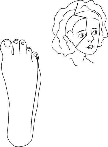 Иллюстрация к книге — Энергетические растяжки. Осознанные движения для гибкости, красоты и долголетия [ris42.jpg]