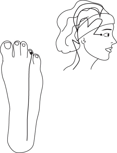 Иллюстрация к книге — Энергетические растяжки. Осознанные движения для гибкости, красоты и долголетия [ris46.jpg]