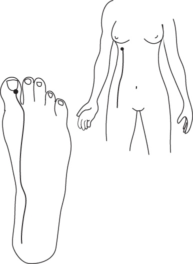 Иллюстрация к книге — Энергетические растяжки. Осознанные движения для гибкости, красоты и долголетия [ris48.jpg]