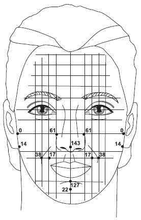 Иллюстрация к книге — Точки болезни и здоровья на вашем лице [autogen_ebook_id10.jpg]