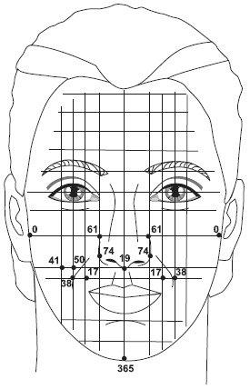 Иллюстрация к книге — Точки болезни и здоровья на вашем лице [autogen_ebook_id11.jpg]