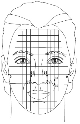 Иллюстрация к книге — Точки болезни и здоровья на вашем лице [autogen_ebook_id15.jpg]