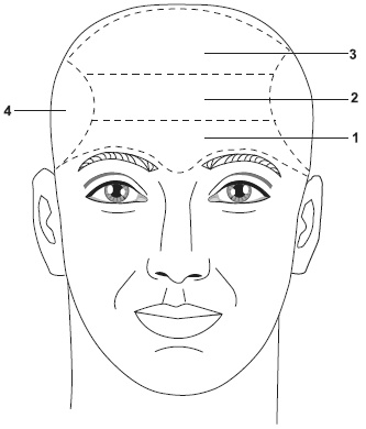 Иллюстрация к книге — Точки болезни и здоровья на вашем лице [autogen_ebook_id2.jpg]