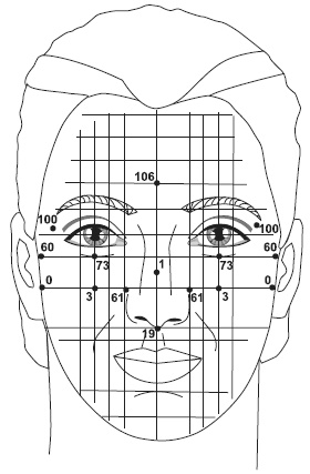 Иллюстрация к книге — Точки болезни и здоровья на вашем лице [autogen_ebook_id26.jpg]