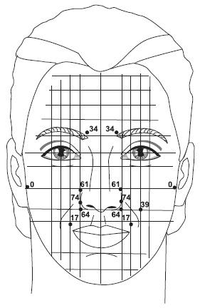 Иллюстрация к книге — Точки болезни и здоровья на вашем лице [autogen_ebook_id29.jpg]