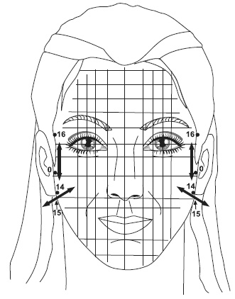 Иллюстрация к книге — Точки болезни и здоровья на вашем лице [autogen_ebook_id37.jpg]